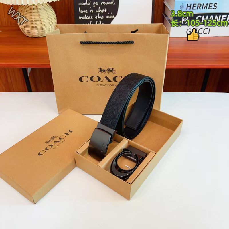 Coach belt 38mmX105-125cm 8L17